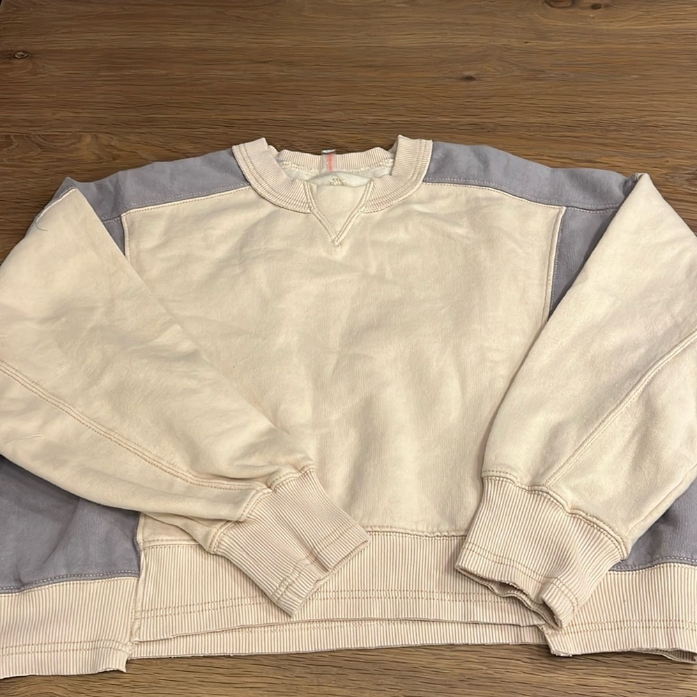 Free people sweatshirt